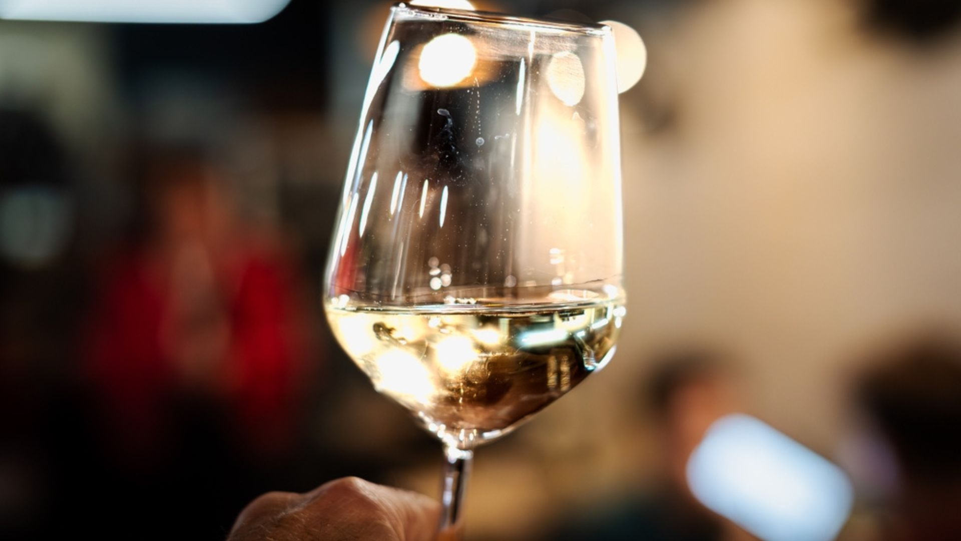 Un bicchiere di vino bianco Pecorino Terre di Chieti
